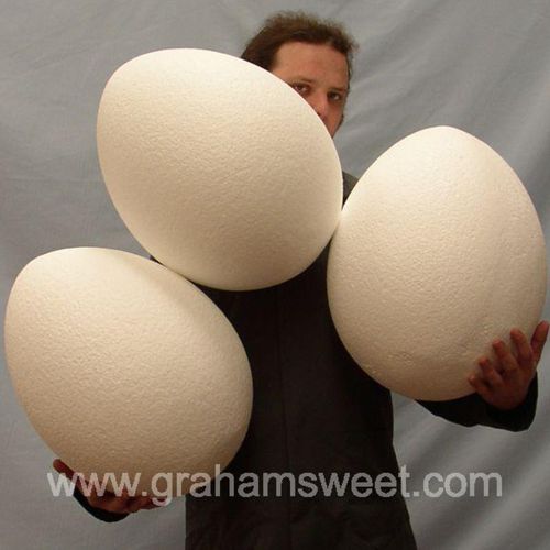 450mm high plain white polystyrene eggs