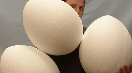 Large plain polystyrene eggs